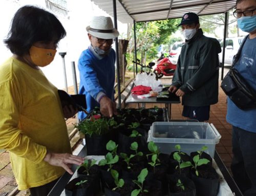 Gerakan Hidup Organik untuk Menjaga Ketahanan Pangan Keluarga, PAGER Ajak Umat Bercocok Tanam